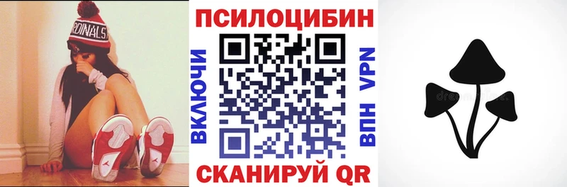 купить   Нелидово  Псилоцибиновые грибы Psilocybe 